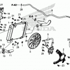GL1800D Radiator (l.)