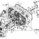 CRF1000A Right crankcase cover (2)