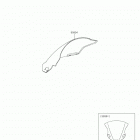 NINJA 400 ABS Accessory(windshield)