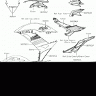 Ninja 650 (EX650KHFA) Decals(green)(khfa)