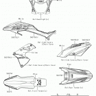 KLX150BF (KLX150FHFB) Decals(blue)(fhfb)