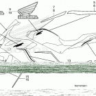 CBR650RA AC Наклейки