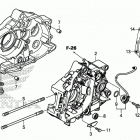 CRF110F AC Картер двигателя