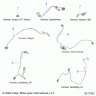 SPRINGFIELD DARK HORSE INTL (N21TJDBBE) Electrical, wire harness 2 - n21tjdbbe all options...
