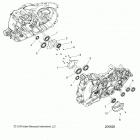 SCOUT SIXTY ALL OPTIONS (N20MSA11/MSB11) Engine, crankcase bearings - n20tjdbb all options ...