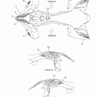 YFZ450R  (YFZ45YSXLL) Наклейки