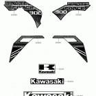 BRUTE FORCE 300 Наклейки (черные)