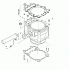 ALTERRA TRV 700 EPS  BLUE [A2021TKT1PUSE] Cylinder assembly [300238]