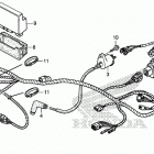 TRX250TE1 AC Жгут проводов