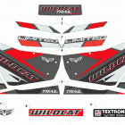 WILDCAT TRAIL LTD EPS GRAY [U2019WXT2PUSC] Decals [302970]