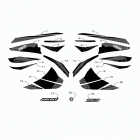 TRANSPORTER 800  (TR8NTSMB) Graphic & emblem