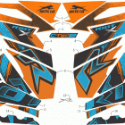 RIOT X 8000 ES 146 ORANGE [S2021R8HRSUSO] Decals [108410]