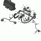 005 - EXPEDITION LE 900 ACE - North America 01- rotax - engine harness and electronic module