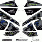 RIOT 8000 ES 146 (1.6) CHARCOAL [S2020RTHLXUSB] Decals [108088]