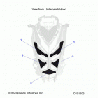 850 MATRYX SWITCHBACK ASSAULT 146/INTL (S21TLC8RS/8RE) Body, hood foam  /  seal - s21tlc8rs  /  8re all o...