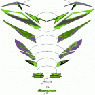 ZR 6000 LTD ES 129 GREEN [S2019ZRDLEUSG] Decals [107301]