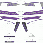 M 8000 MOUNTAIN CAT 162 PURPLE [S2019M8HDEUSF] Decals [107203]