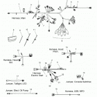 800 AXYS SKS 155 SC SELECT ALL OPTIONS (S20EFS8PS) Electrical, wire harness - s20efs8ps all options (...