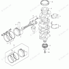 DF 175TLK6 CRANKSHAFT