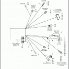 XL883N 4LE2 IRON 883 (2019) WIRING HARNESS, MAIN, KEYLESS, ABS (3 OF 4)