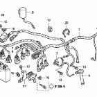 TRX450R Wire harness ('06-)