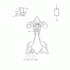 YFZ450RYL/YFZ450RYW Наклейки 1