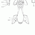 RAPTOR YFM25RX-B Наклейки 1