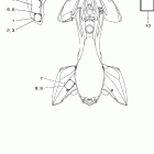 RAPTOR YFM25RX Наклейки 1