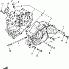 Raptor 50 Картер