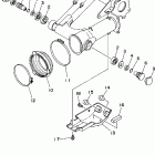 Wolverine Бугель (задний рычаг)