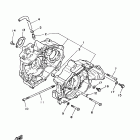 Raptor 80 Картер
