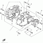 TIMBERWOLF 4WD-YFB250FWM Картер