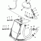 Banshee Радиатор и Патрубки