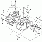 Timberwolf Картер