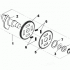 DS 250 NA, CE & INT Balance shaft