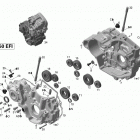 DS 450  X EFI Картер
