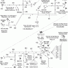 GSX 500SS 10- electrical harness no dpm