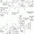Summit 800 HO 10- frame harness