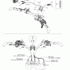 Summit X 800 HO Рулевая система