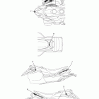 PHAZER GT PZ50GTZ Наклейки