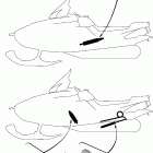 VECTOR /ER - RS90RL/RS90NRL Дополнительная подвеска задняя
