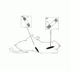 SX Viper Дополнительная подвеска задняя