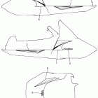 Ovation Наклейки