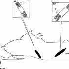 VMAX 700 SX-VX700SXBC/VX600SXBC Дополнительная подвеска задняя