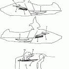 PHAZER SS ELECTRIC-PZ480EB Наклейки