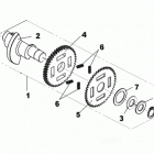 DS 250 CVT Balance shaft