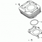 TRX250X Цилиндр
