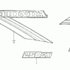 ATC250SX Emblem @ stripe 85