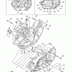 RAIDER SCL Картер