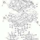 Royal Star Venture Картер